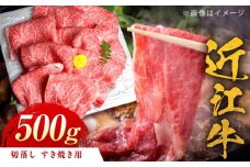 近江牛 すき焼き用 切落し 500g / 牛肉 和牛 国産牛 黒毛和牛 すき焼き用 切り落とし / 栗東市 / 元三フード株式会社[BIBH005]