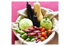 和らぎ農法　わっさんの食いしん坊野菜　栗東市産　旬の野菜便 栗東市 / 株式会社　ワダケン [BIBM001]