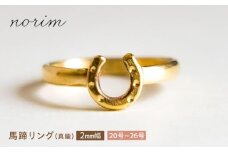 馬蹄リング 真鍮 2mm 23号　ハンドメイド アクセサリー  ゴールド カラー 栗東市 / norim [BIBP034]