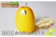 【2025年7月下旬より順次発送】旬の野菜 金のまっか便 栗東市 / 株式会社　ワダケン [BIBM005]