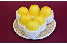 【2025年7月下旬より順次発送】旬の野菜 金のまっか便 栗東市 / 株式会社　ワダケン [BIBM005]