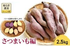 【2025年10月頃より順次発送】和らぎ農法　ほっこり便　さつまいも編　2.5kg 栗東市 / 株式会社　ワダケン [BIBM007]