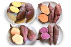 【2025年10月頃より順次発送】和らぎ農法　ほっこり便　さつまいも編　2.5kg 栗東市 / 株式会社　ワダケン [BIBM007]