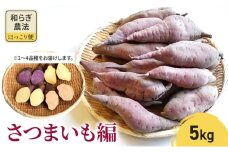 【2025年10月頃より順次発送】和らぎ農法　ほっこり便　さつまいも編　5kg 栗東市 / 株式会社　ワダケン [BIBM008]