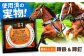 競馬 馬 サラブレッド けいば 競走馬