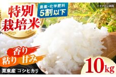 令和6年度産 栗東産 特別栽培米 コシヒカリ 10kg / ご飯 ごはん ゴハン 新米 令和6年産 / 栗東市 / レーク滋賀農業協同組合[BIBV004]