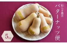 【2025年9月下旬頃より順次発送】和らぎ農法　バターナッツ便（約5kg） 栗東市 / 株式会社　ワダケン [BIBM015]