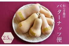 【2025年9月下旬頃より順次発送】和らぎ農法　バターナッツ便（約2.5kg）  栗東市 / 株式会社　ワダケン [BIBM014]