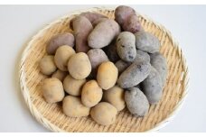 【先行予約：2026年6月頃より順次発送】和らぎ農法 春じゃが便 5kg （栽培期間中、農薬・化学肥料・動物性堆肥不使用）/じゃがいも 食べ比べ 新鮮 野菜 詰め合わせ 3種 / 滋賀県 栗東市 / ワダケン リアルソイルハウス [BIBM017]