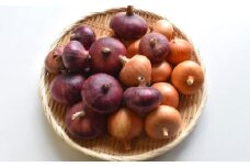 【先行予約：2026年6月頃より順次発送】和らぎ農法 玉ねぎ便 2.5kg （栽培期間中、農薬・化学肥料・動物性堆肥不使用）/ 赤玉ねぎ セット 詰め合わせ 新鮮 野菜 食べ比べ 旬 / 滋賀県 栗東市 / ワダケン リアルソイルハウス [BIBM018]