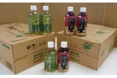 甲賀のお茶ペットボトル（緑茶・紅茶）2ケース