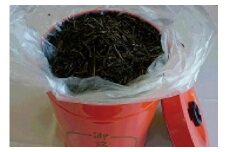 朝宮ほうじ茶 1本缶入