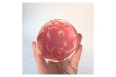 赤い花のぐい呑み