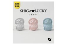 手のひらサイズのたぬき SHIGA★LUCKY　3色セット【信楽焼・明山】