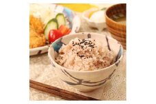 【2個セット】信楽焼 碧水飯碗　ペアセット