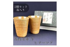 【高橋楽斎 作】信楽焼ビアーマグぺア（2個）　mu-016