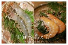 甲賀水晶えび 200g × 3パック