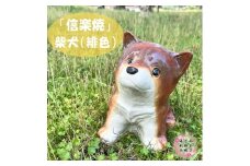 信楽焼　信楽焼 豆柴犬（茶）