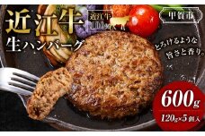 近江牛 生ハンバーグ 120g×5個入