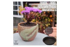 信楽焼 陶器 植木鉢 受け皿＆ネット付き 【緋色砂流し】
