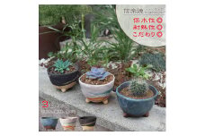 信楽焼 足付き 植木鉢3色セット（湖水/新緑/黒砂）