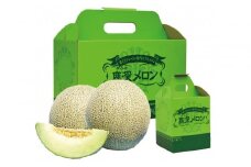 【7月末までの期間限定】鹿深（かふか） メロン 2個（合計3.5kg） 箱入り