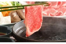 A4等級以上保証！！近江牛ロース・肩すき焼きしゃぶしゃぶ用500ｇ【近江牛専門店かねきち】[№5748-0022]