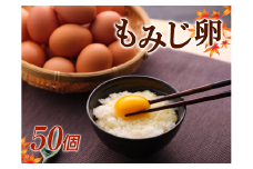 湖南市産　もみじ卵　50個[№5748-0202]