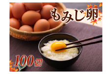 湖南市産　もみじ卵　100個[№5748-0203]