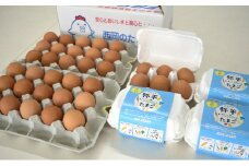 湖南市産　もみじ卵30個と平飼い卵(弥平＆ファイトリッチ）24個[№5748-0205]