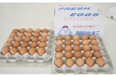 湖南市産　もみじ卵30個　頒布コース(6か月）[№5748-0206]