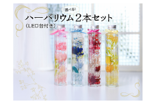 ハーバリウム2本（青色・赤色）＆LED台[№5748-0243]