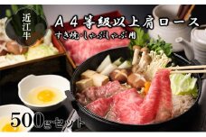 【納期最長2ヶ月】近江牛A4等級以上肩ロースすき焼き・しゃぶしゃぶ用500g【肉のげんさん】[№5748-0272]