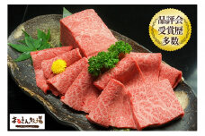 【納期最長2ヶ月】【まるさん牧場産】近江牛はねした焼肉用500g[№5748-0297]