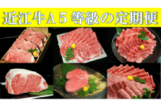 近江牛A5等級の定期便【年6回お届け】[№5748-0349]