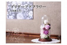 プリザーブドフラワー　ずっと美しいガラスドーム洋風仏花[№5748-0353]