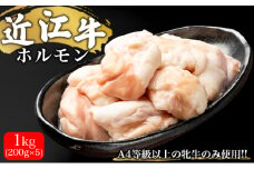近江牛ホルモン　1kg（200g×5）[№5748-0424]