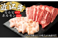 【A4等級以上の牝牛のみ使用！！】近江牛カルビ400gとホルモン200g[№5748-0425]