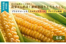 【先行予約受付中】農家さん直送！3品種の中からお届け　新鮮朝採り とうもろこし 6本セット プラチナコーン ドルチェドリーム プレミアム味来 コーン  野菜 夏 [№5748-0510]