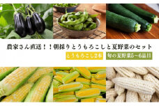 【先行予約受付中】農家さん直送！朝採り とうもろこし と 夏野菜のセット [№5748-0509]
