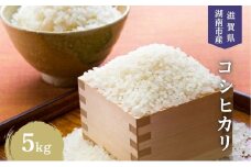 【先行予約受付中】令和7年産 滋賀県産 米 こしひかり 5kg[№5748-0007]