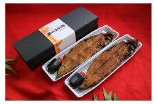◆【鰻彩堂（まんざいどう）】近江炙りうなぎ（2尾入り）