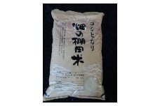 ◆びわ湖高島　畑の棚田米　10キロ