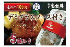 ◆【5個入】近江牛デミグラスハンバーグ