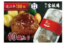 ◆【10個入】近江牛ハンバーグ