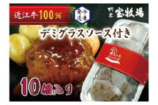 ◆【10個入】近江牛デミグラスハンバーグ