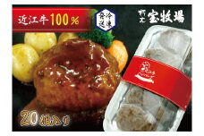 ◆【20個入】近江牛デミグラスハンバーグ