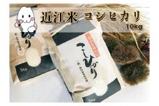 ◆実生庵の近江米【四季風流】精米5kg×2袋 滋賀県高島市産コシヒカリ 生産者直売100%