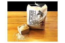 ◆【業平園】【無農薬】在原の美男米【玄米】
