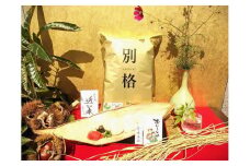 ◆日時指定可能・無洗米【食味本位】実生庵の近江米コシヒカリ  5kg×1袋 滋賀県高島市産生産者直売100%